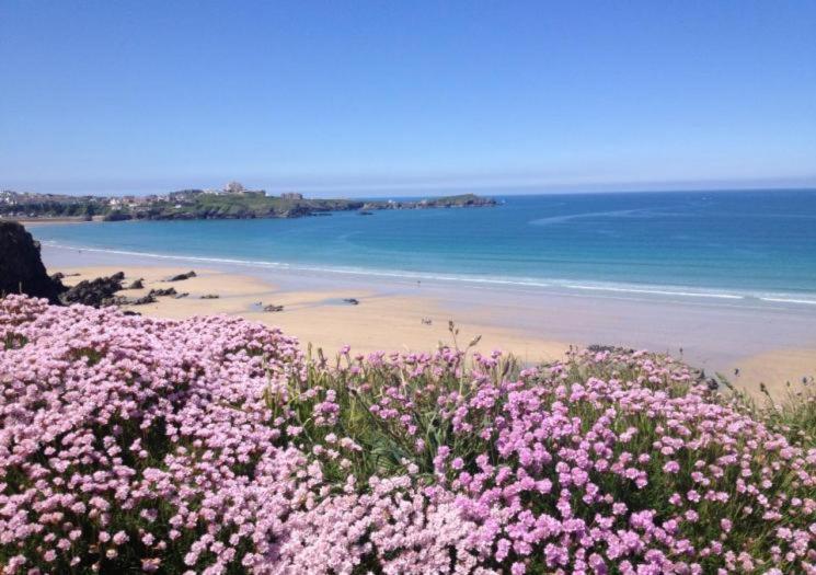 Atlantic Reach Cottages, Newquay 6 Miles, 2 Bedrooms Buitenkant foto